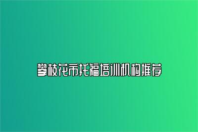 攀枝花市托福培训机构推荐