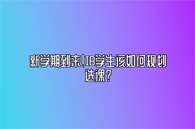 新学期到来！IB学生该如何规划选课？