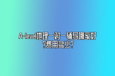 A-level地理一对一辅导哪家好？费用多少？
