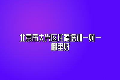 北京市大兴区托福培训一对一哪里好