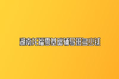 湖南托福零基础辅导班多少钱