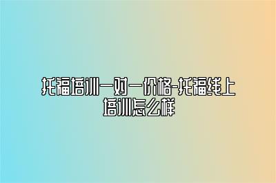 托福培训一对一价格-托福线上培训怎么样