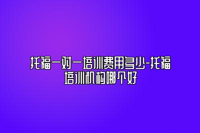 托福一对一培训费用多少-托福培训机构哪个好