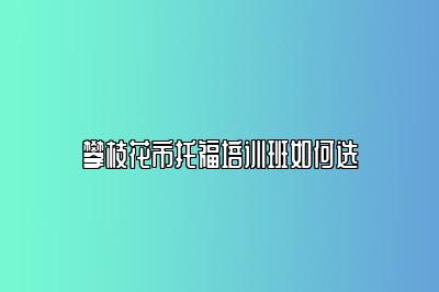 攀枝花市托福培训班如何选