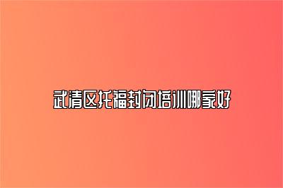 武清区托福封闭培训哪家好