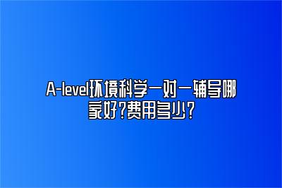 A-level环境科学一对一辅导哪家好？费用多少？