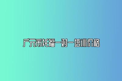 广元市托福一对一培训价格