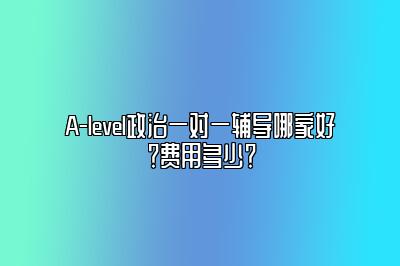 A-level政治一对一辅导哪家好？费用多少？