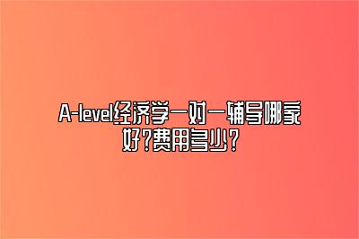 A-level经济学一对一辅导哪家好？费用多少？