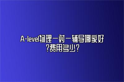 A-level物理一对一辅导哪家好？费用多少？