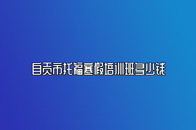 自贡市托福寒假培训班多少钱