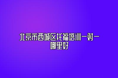 北京市西城区托福培训一对一哪里好