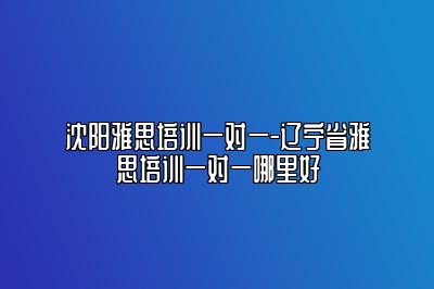 沈阳雅思培训一对一-辽宁省雅思培训一对一哪里好