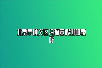 北京市顺义区托福寒假班哪家好