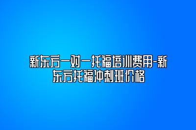 新东方一对一托福培训费用-新东方托福冲刺班价格