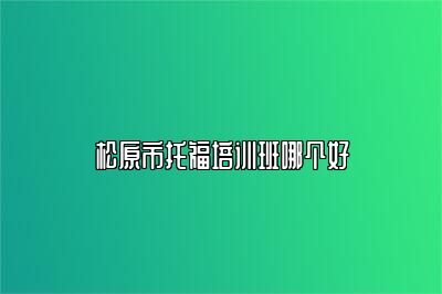 松原市托福培训班哪个好