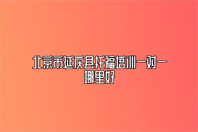 北京市延庆县托福培训一对一哪里好
