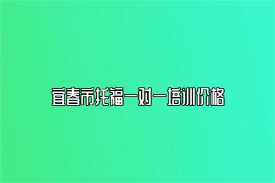 宜春市托福一对一培训价格