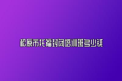 松原市托福封闭培训班多少钱