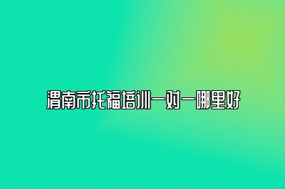 渭南市托福培训一对一哪里好