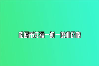 松原市托福一对一培训价格