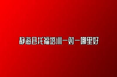 静海县托福培训一对一哪里好