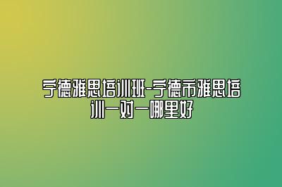 宁德雅思培训班-宁德市雅思培训一对一哪里好