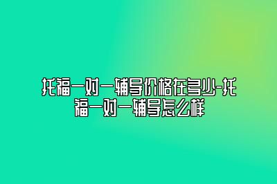 托福一对一辅导价格在多少-托福一对一辅导怎么样