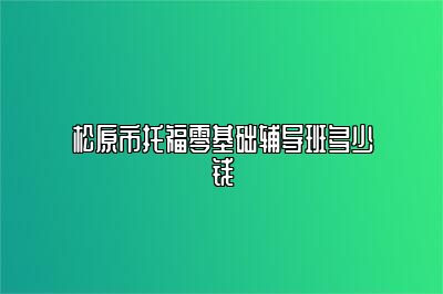 松原市托福零基础辅导班多少钱