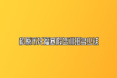 松原市托福寒假培训班多少钱