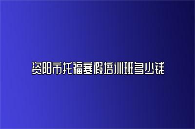 资阳市托福寒假培训班多少钱