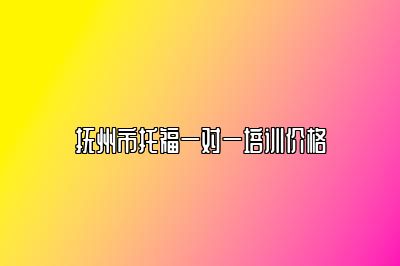 抚州市托福一对一培训价格