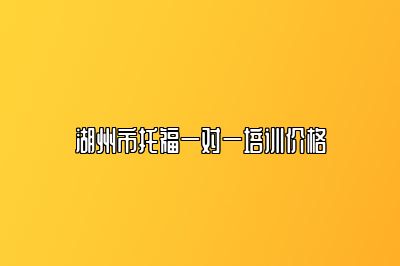 湖州市托福一对一培训价格