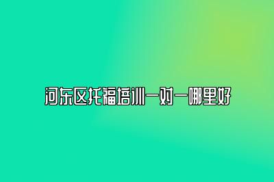 河东区托福培训一对一哪里好