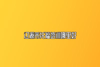 辽源市托福培训哪里好