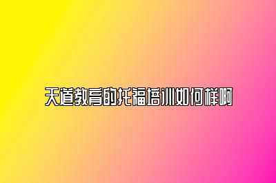 天道教育的托福培训如何样啊