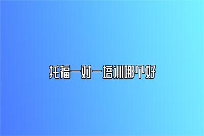 托福一对一培训哪个好