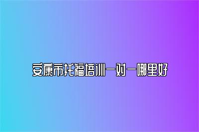 安康市托福培训一对一哪里好