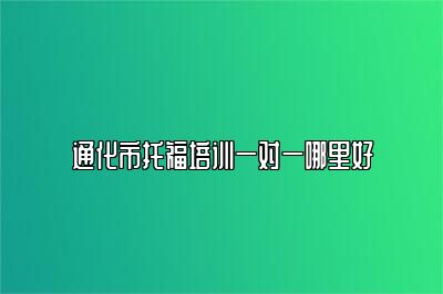 通化市托福培训一对一哪里好