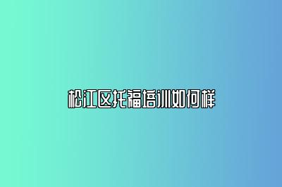 松江区托福培训如何样