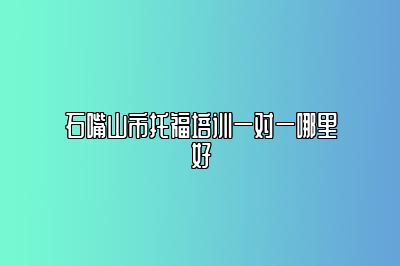 石嘴山市托福培训一对一哪里好