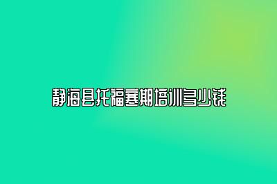 静海县托福寒期培训多少钱