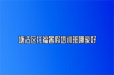 塘沽区托福暑假培训班哪家好