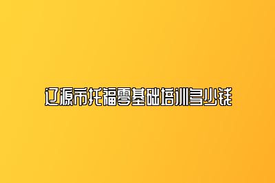 辽源市托福零基础培训多少钱