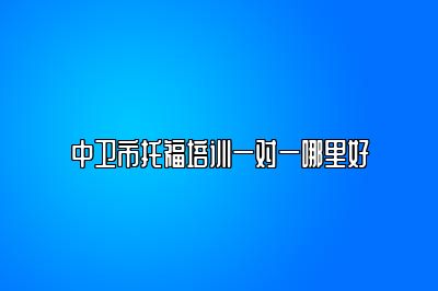 中卫市托福培训一对一哪里好