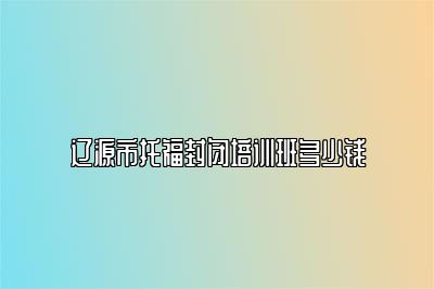 辽源市托福封闭培训班多少钱