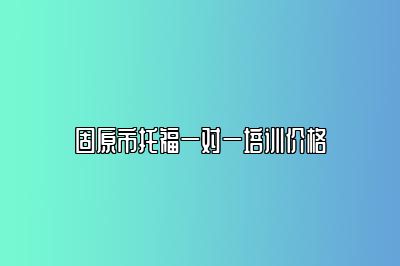 固原市托福一对一培训价格