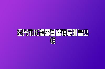 绍兴市托福零基础辅导班多少钱
