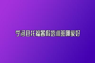 宁河县托福暑假培训班哪家好