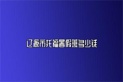 辽源市托福暑假班多少钱